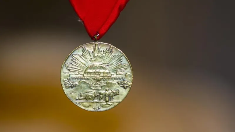 Şehit ve gazilerin mirasçılarına 'İstiklal Madalyası' kararı Resmi Gazete’de